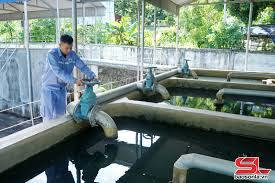Sơn La: Bảo đảm cung cấp nước sạch cho nhân dân